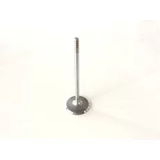 Ventil 55229143
